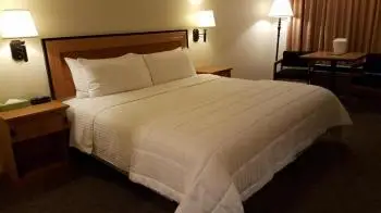 Japan House Suites 5